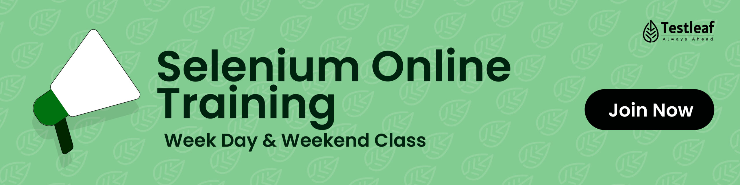 Online Selenium Training 